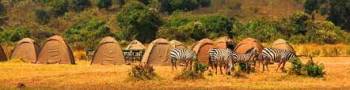 Tanzania Budget Camping Safari