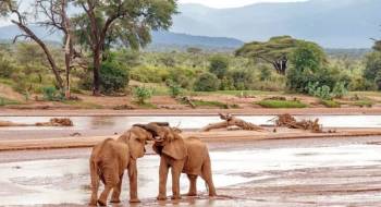 Aberdares to Samburu Safari