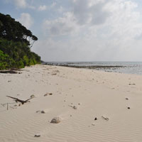 Andaman Gold Package 5