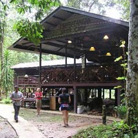 Jungles and Orangutans Malaysia Tour
