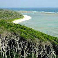 Andaman Exotic Tour Package