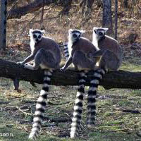 Madagascar Trek Tour