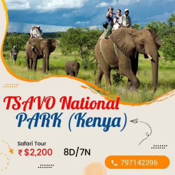 India- Kenya: 8D 7N Tsavo National Park Safari Adventure