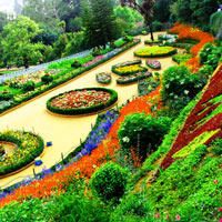 Best of South India