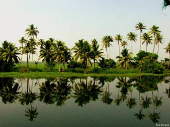 Traditional Kerala Travel