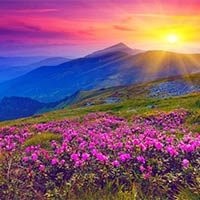 Valley Of Flowers Trek With Hemkund Sahib Package