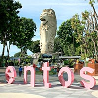 Best Of Singapore Wt Night Safari & Sentosa Tour