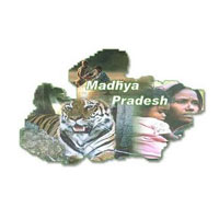 Incredible Madhya Pardesh Tour
