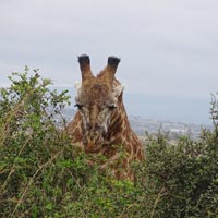 2 Night 3 Days at Amboseli National Park