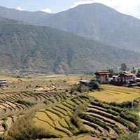Bhutan Panorama Trekking Tour
