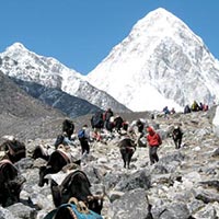 Everest High Passes Trekking Tour