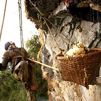Honey Hunting Tour in Nepal