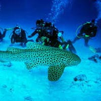 Couple Package (3 N Port Blair + 2 N Havelock With Elephanta Beach)