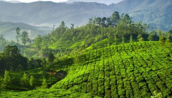 Students Munnar / Athirampalli Tour