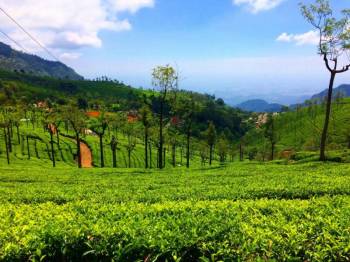 Mysore Coorg Ooty Kodaikanal Tour Package