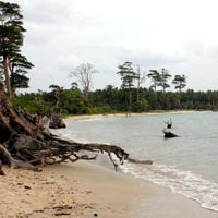Holiday In Andaman Package