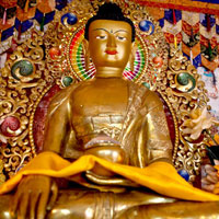 Buddhist Circuit Package Tour