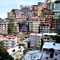 Chail - Kufri - Fagu - Shimla Tour