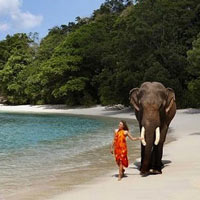 Exotic Andaman Tour