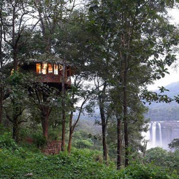 3 Days Periyar Tour with Treehouse
