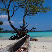 Mega Island Andaman Tour