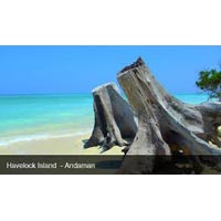 Holiday Package in Havelock Island