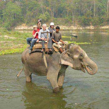 A Complete Wildlife Tour in Nepal Tour