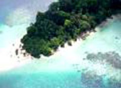 Andaman Honeymoon Packages