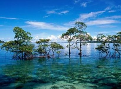 3 Nights Port Blair - 2 Nights Havelock Island - 01 Night Neil Island with Baratang Tour