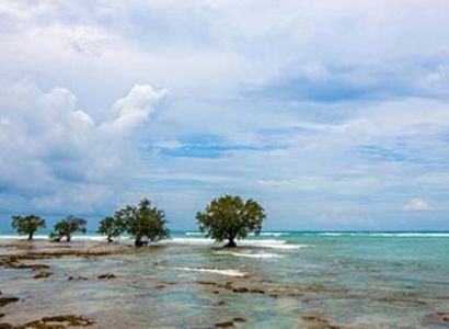 2 Nights Port Blair - 02 Night Havelock Island - 01 Night Neil Island