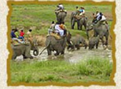 Assam Valley Tour