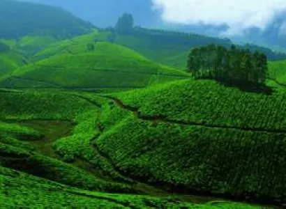 Homestead Holidays (04 Nights / 05 Days) Tour