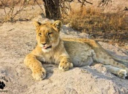 Heritage Rajasthan with Colourful Gujarat