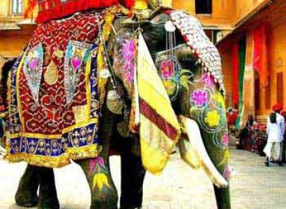 Golden Triangle 4 Days Tour