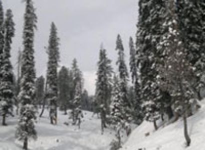 Gulmarg Snow Skiing Package