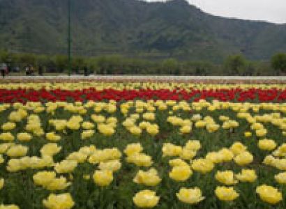 Flavour of Kashmir Tour