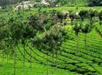 Memorizing Karnataka Tour