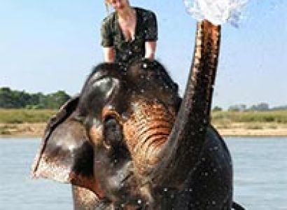 Kathmandu - Pokhara - Chitwan Tour