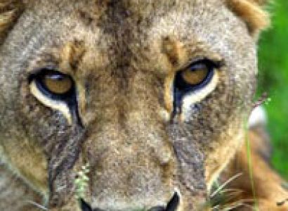 Samburu 2 Nights Tour