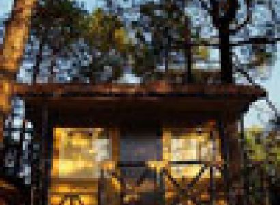 Hotel Aamod Shimla Package