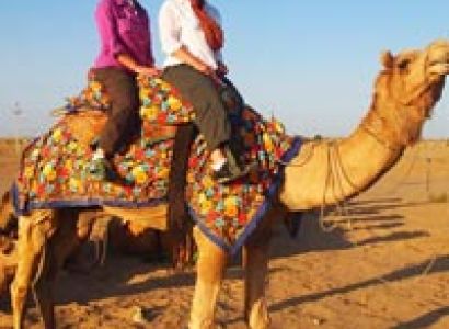 Camel Safari Tour in Rajasthan