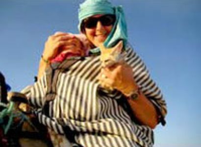 North South Tunisia Explorer 2010-2011