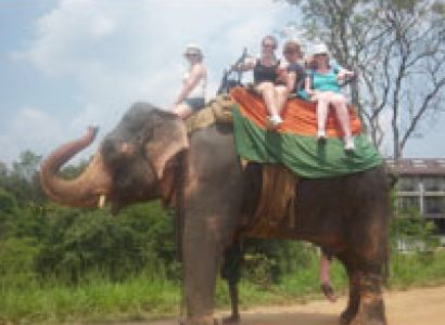 Sri Lanka Highlights Tour