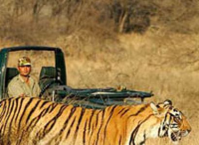 Mini Rajasthan Tour Package