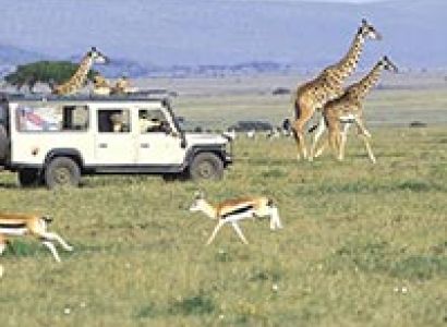 Best of Kenya Package