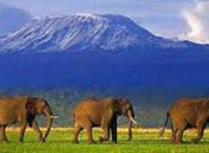 Climbing Mount Kilimanjaro Via Machame Route Package