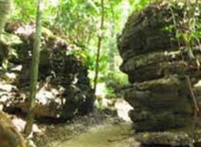 Beautiful Baratang Trip package