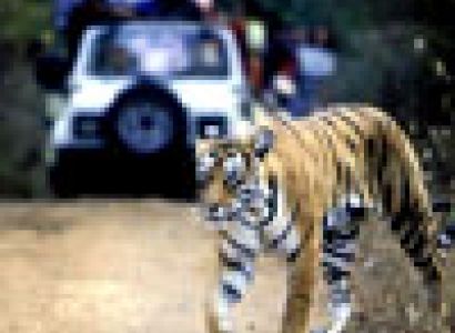 Corbett Roop Resorts