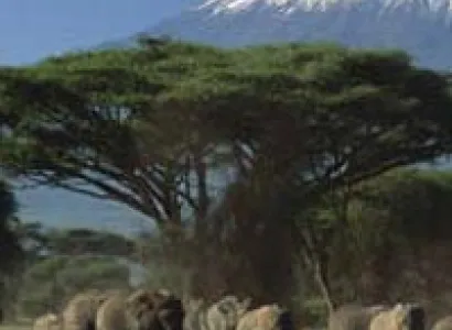 5-Four days 3 nights Amboseli, Lake Naivasha, Lake Nakuru Tour