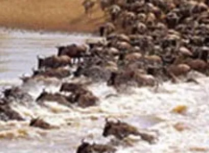 8 Days Samburu aberdares, Lake Nakuru, Lake Naivasha, Masai Mara